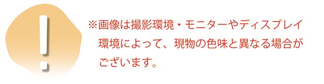 ふくさ エステル 小花ちりめん 金封 袱紗 日本製 箱なし