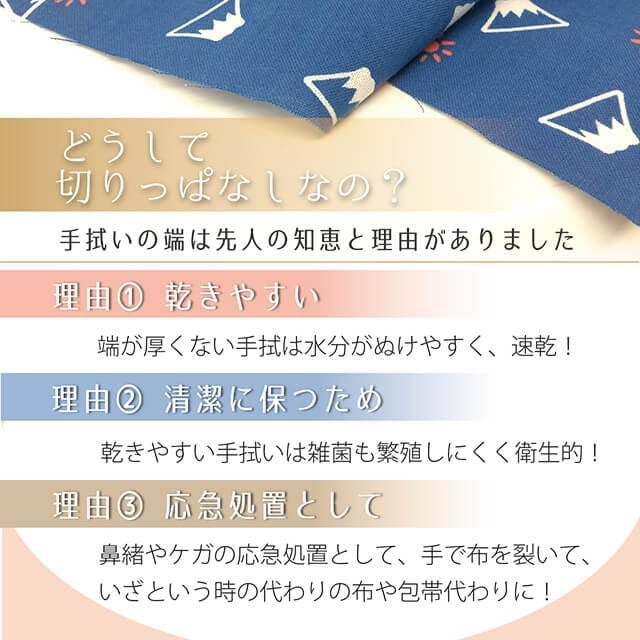 手拭い 手ぬぐい 浜千鳥 和てぬぐい おしゃれ 日本製 京都